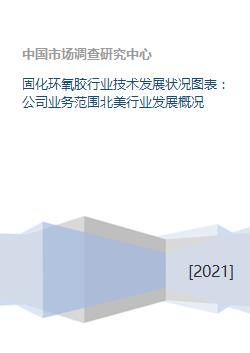 固化環(huán)氧膠行業(yè)技術(shù)發(fā)展?fàn)顩r、業(yè)務(wù)范圍及北美市場概況